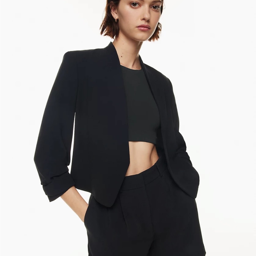 Aritzia Babaton Power Blazer